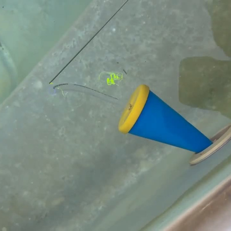 pool return line cone plug